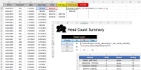 Intermediate Excel for Business and Industry